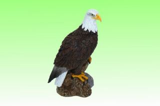Obrázek z Orel bělohlavý polyresin 7cm (12) 